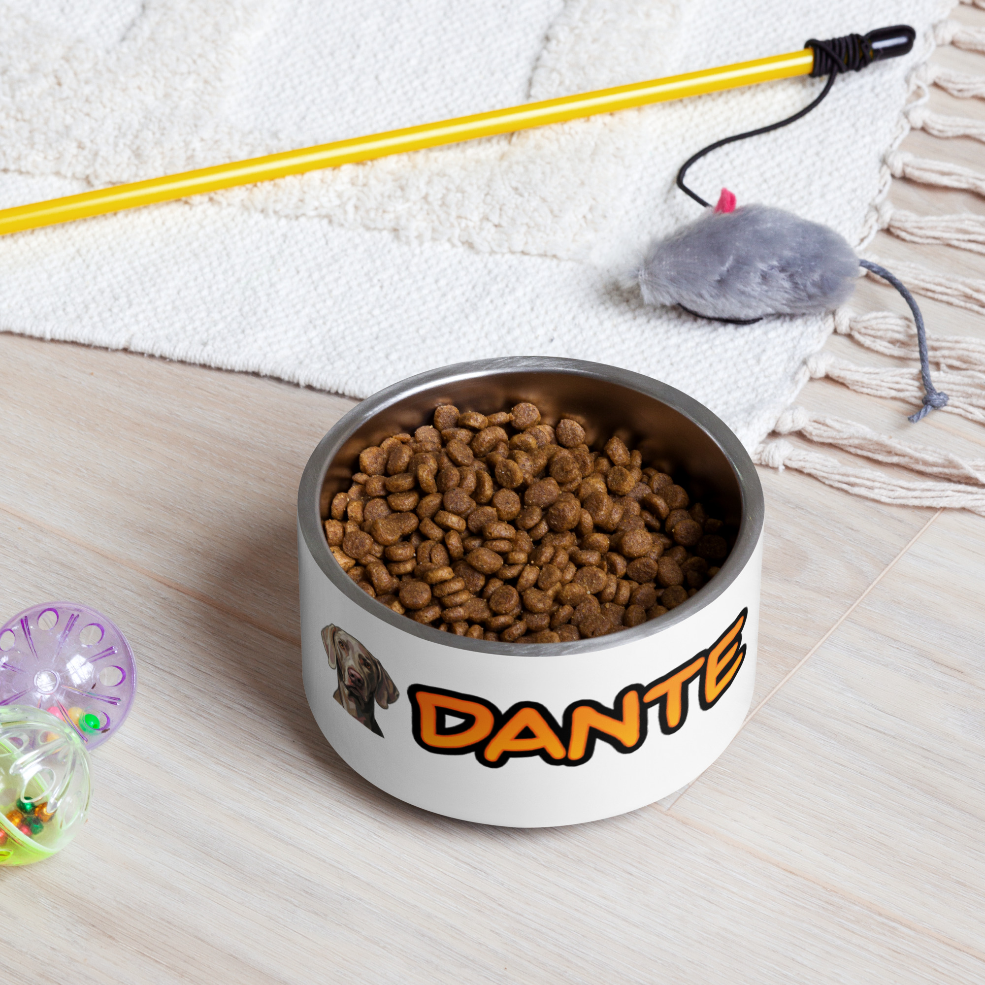 Plato para mascota Personalizado - Imagen 2
